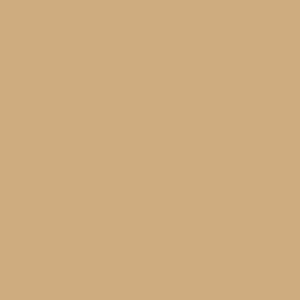 CAPPUCCINO 217